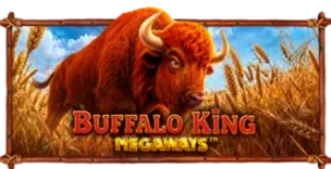 ภาพเกม Buffalo King Megaways ที่ vpm44 รวบรวมไว้